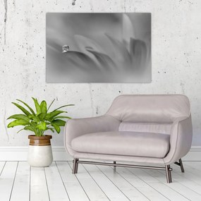 Tablou - Picătură pe floare,alb-negru (90x60 cm)