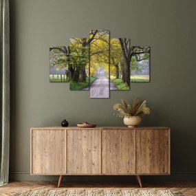 Tablou - Smoky Mountains, Gatlinburg, SUA (150x105 cm)