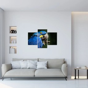 Tablou cu papagal (90x60 cm)