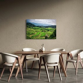 Tablou cu câmp de orez (90x60 cm)