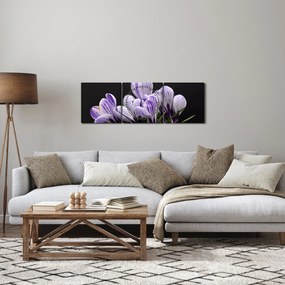 Tablou - Crocus violet (cu ceas) (90x30 cm)