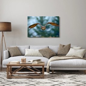 Tablou -Bufnita în zbor (90x60 cm)
