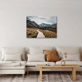 Tablou - Poteca în valea muntelui Mt. Cook (70x50 cm)