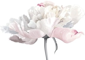 Fototapet - Flori de trandafir (147x102 cm)
