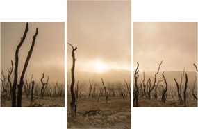 Tablou - Copaci goi (90x60 cm)