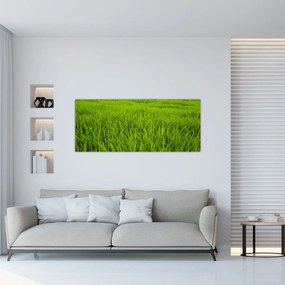 Tablou cu iaraba (120x50 cm), în 40 de alte dimensiuni noi