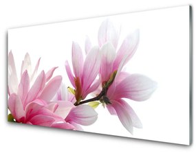 Tablou pe sticla Magnolia Blossoms Floral roz