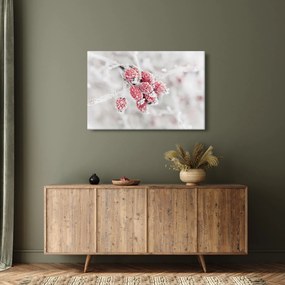Tablou - Fructe congelate (90x60 cm)