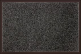 Covoras de intrare TELIO, 80 x 120 cm
