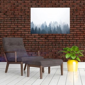 Tablou - Pădure cețoasă (90x60 cm)