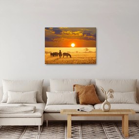 Tablou - Zebre cu apus de soare (70x50 cm)