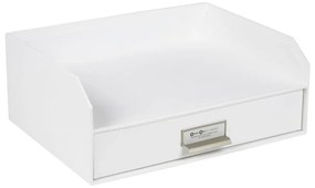 Organizator pentru sertar/pentru documente din carton Walter – Bigso Box of Sweden