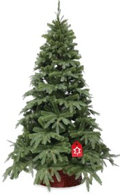 Brad Natura 3D 210 cm