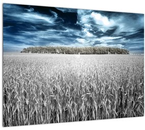 Tablou cu câmp (70x50 cm)