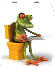 Capac WC Wenko Frog News, 45 x 38,8 cm