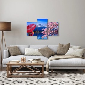 Tablou - cu privire la munte - Japonia (90x60 cm)