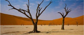 Tablou - Valea Morții (120x50 cm)