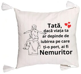 Perna Decorativa cu Franjuricu Text pentru Tata 8, 45x45 cm, Ecru, Cu fermoar