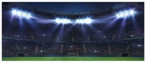 Tablou - Stadion de fotbal (120x50 cm)
