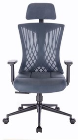 Ergomax ergonomic birou scaun pivotant gri-albastru