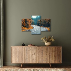 Tablou - Drumul cu serpentine (90x60 cm)