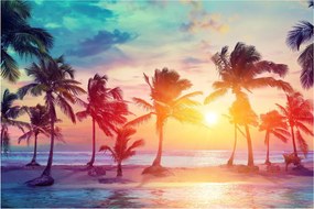 Tablou - Apus de soare tropical (90x60 cm)