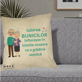 Cadou pentru Bunici - Perna Personalizata Bunicii Iubirea Infloreste Cuplu Senior Teal, 40x40 cm, Crem, Husa Detasabila, Perna Inclusa, BEKZ®