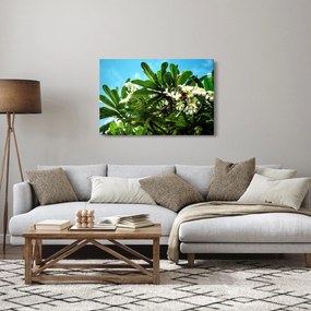 Tablou - Plumeria (90x60 cm)