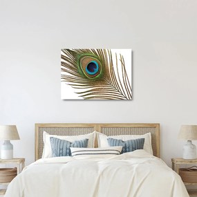 Tablou pe sticlă cu pene de păun (70x50 cm)