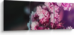 Tablou cu florile copacilor (cu ceas) (90x30 cm)