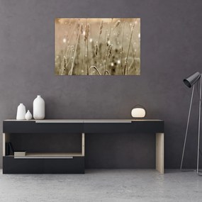 Tablou - Pajiște armonioasă (90x60 cm)