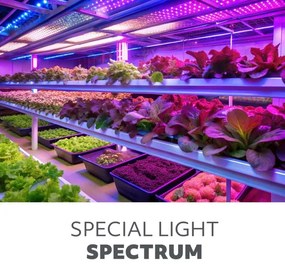 Lampă LED de masă pentru creșterea plantelor VITARO 4xLED/10W/230V negru