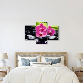 Tablou - Orhidee roz cu frunze de palmier (90x60 cm)