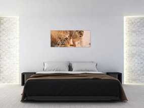 Tablou - Pui de leu (120x50 cm)
