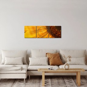Tablou - Floarea-soarelui (cu ceas) (90x30 cm)