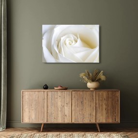 Tablou cu tandafir alb (90x60 cm)