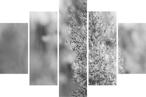 Tablou - Iarbă de pampas Boho (150x105 cm)
