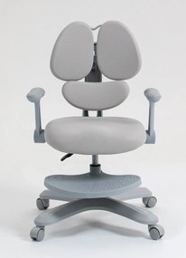 RIKKY Scaun ergonomic pentru copii, spatar si suport lombar reglabile, huse detasabile, suport picioare reglabil, rotativ, Gri