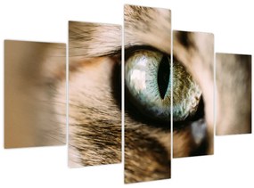 Tablou - Ochi de pisică (150x105 cm)