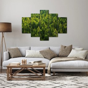 Tablou - Pădure deasă (150x105 cm)