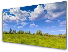 Tablouri acrilice Meadow Grass Peisaj verde