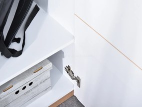 Dulap cu rafturi Congresual C02 (alb). 1137210