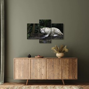 Tablou - Tigru alb (90x60 cm)