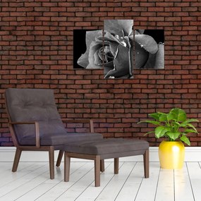 Tablou cu trandafir - albneagră (90x60 cm)