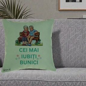 Cadou pentru Bunici - Perna Personalizata Cei Mai Iubiti Bunici Cuplu pe Banca Ilustratie, 40x40 cm, Verde, Husa Detasabila, Perna Inclusa, BEKZ®