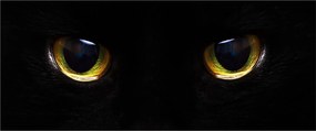 Tablou - Ochi de pisică (120x50 cm)