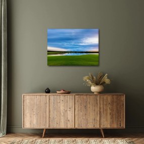 Tablou cu lunca (70x50 cm)