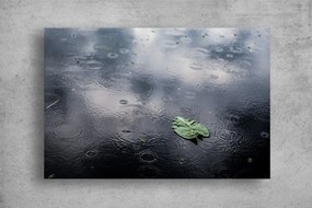 Tablou Canvas - Frunza verde in ploaie pe asfalt