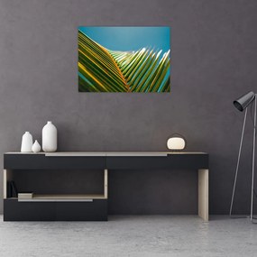 Tablou pe sticlă - Frunze de palmier (70x50 cm)