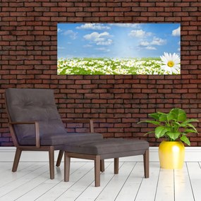 Tablou cu luncă înflorită cu margarete (120x50 cm)